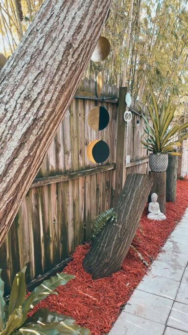 Peaceful Studio Clearwater Beach Bagian luar foto